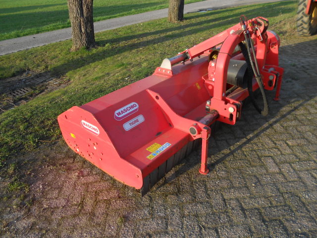 maschio tigre 250