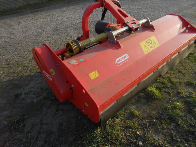 maschio tigre 250
